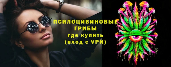 ешки Семилуки