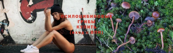 альфа пвп Саяногорск