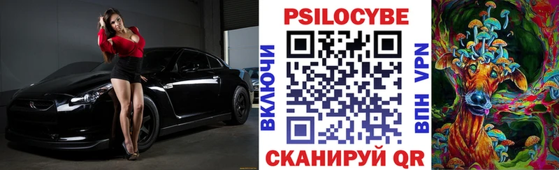 Купить  Находка  Галлюциногенные грибы Magic Shrooms 